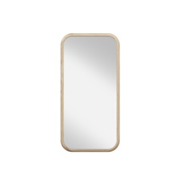 Зеркало прямоугольное 50*100