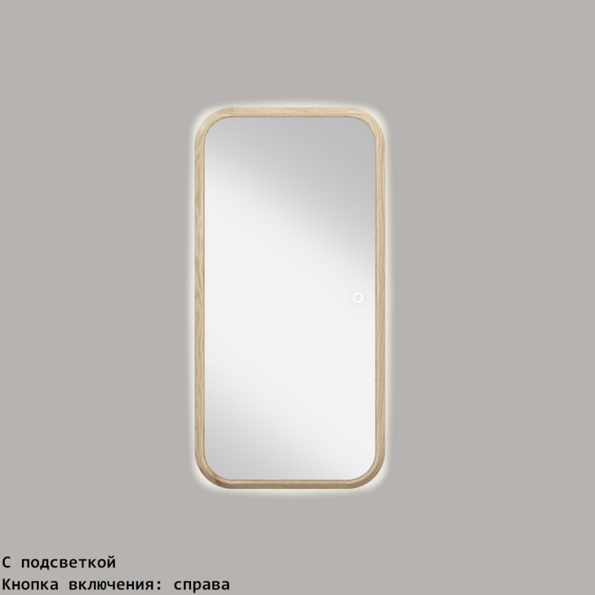 Зеркало прямоугольное 50*100 фото 3