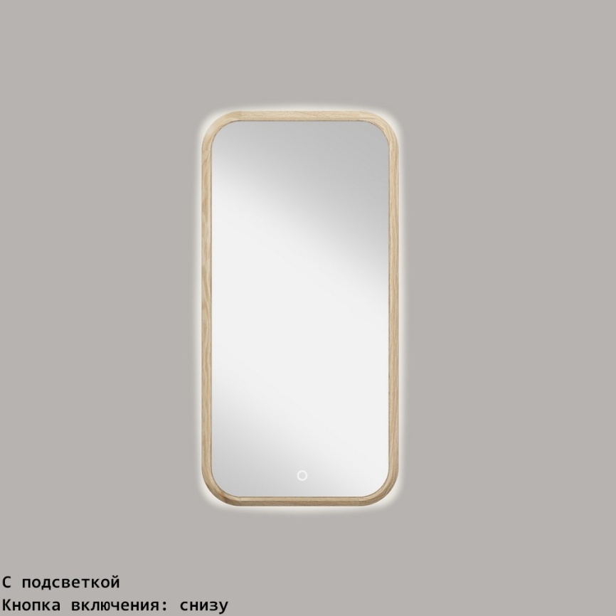 Зеркало прямоугольное 50*100 фото 2
